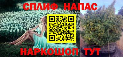 дмт Кандалакша