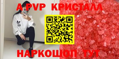 ECSTASY Канаш