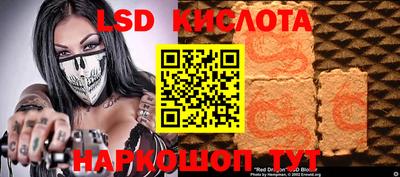 дмт Кандалакша