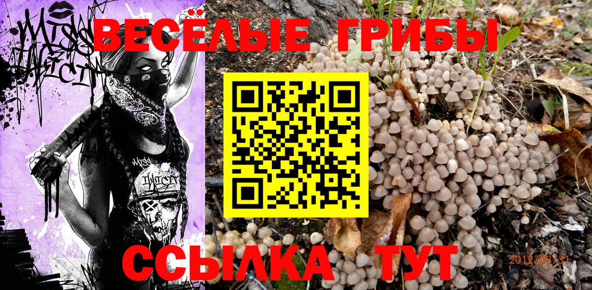Галлюциногенные грибы MAGIC MUSHROOMS  Галлюциногенные грибы Magic Shrooms  Вход с VPN  Краснодар 