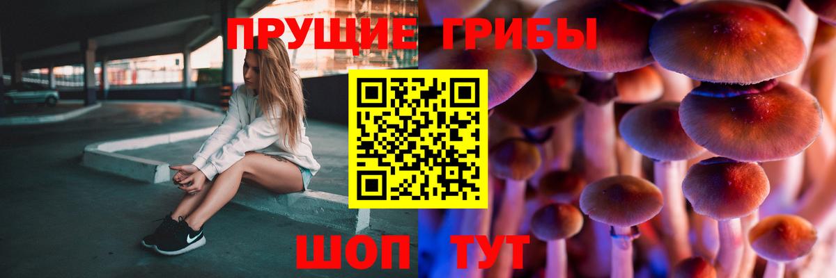 Псилоцибиновые грибы Cubensis Краснодар
